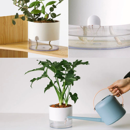 Lazy Self-Watering Flower Pot – Automatic Water Absorption Planter