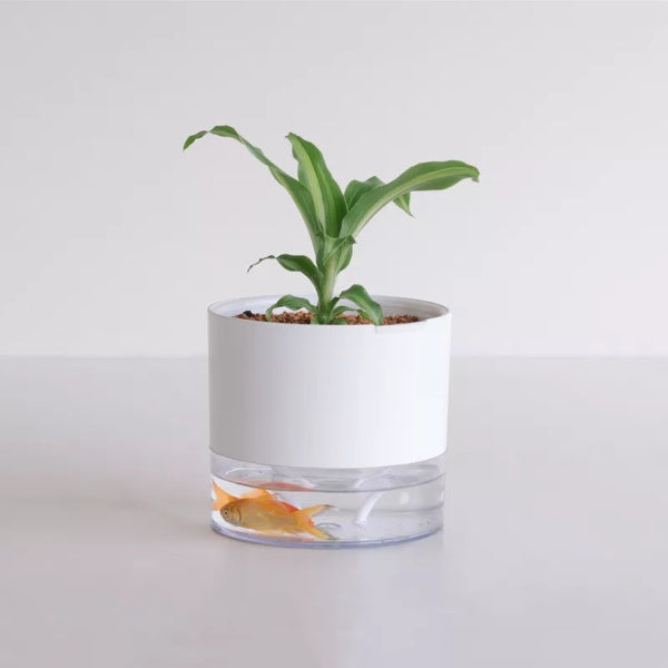 Lazy Self-Watering Flower Pot – Automatic Water Absorption Planter