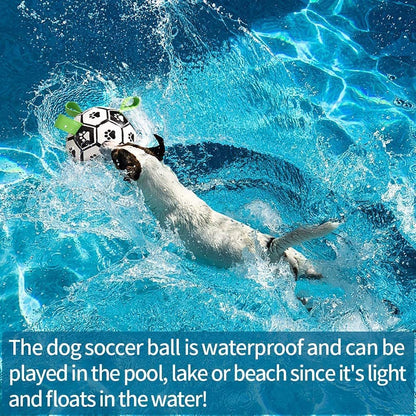 Interactive Dog Soccer Ball – Durable Outdoor Training Toy
